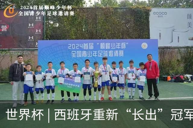 世界杯 | 西班牙重新“长出”冠军