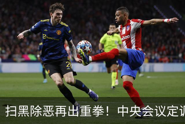 扫黑除恶再出重拳！中央会议定调：不仅要抓人，更要“抄家底”