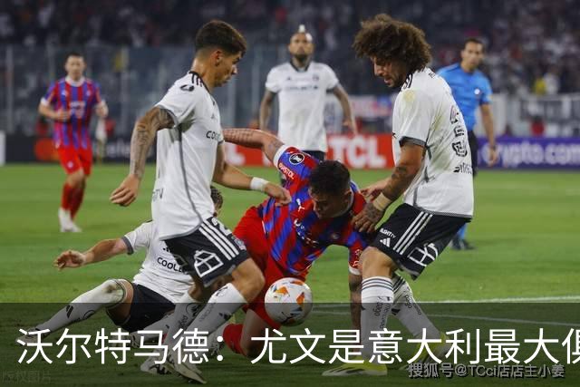 沃尔特马德：尤文是意大利最大俱乐部，我喜欢伊布和哈弗茨的风格
