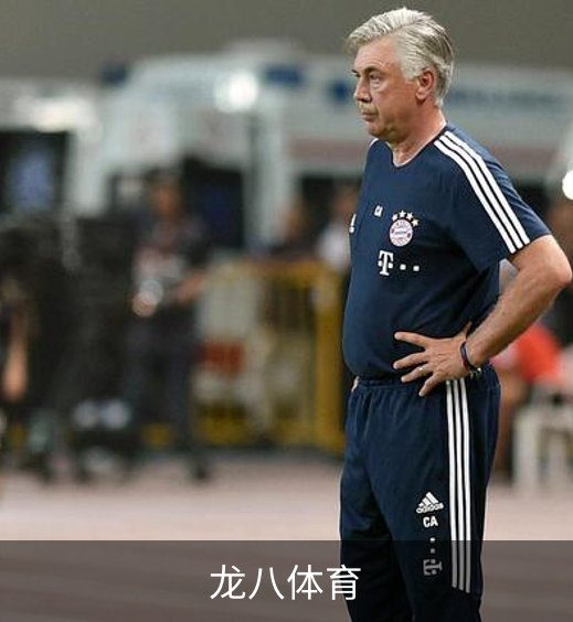 关于龙八体育
